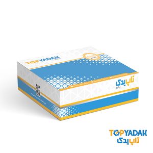 دیسک چرخ عقب پژو 206 تیپ 5