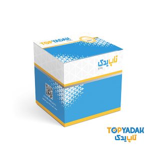 سیلندر ترمز پژو 405 چپ