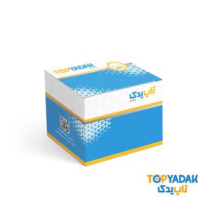 لنت جلو پژو 405