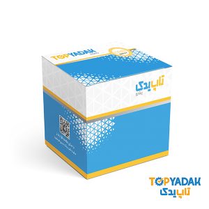 اصالت و کیفیت محصولات فروشگاه اینترنتی تاپ یدک